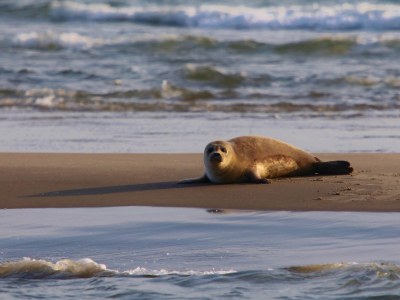 Holiday house Christoffellaan 30 - Environment photo 19