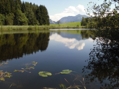 Holiday house "Margarethengut" - Outdoor photo 2
