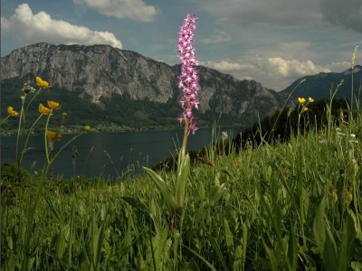 Holiday house "Margarethengut" - Environment photo 32