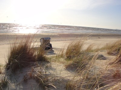 Holiday house Beach house - Environment photo 31