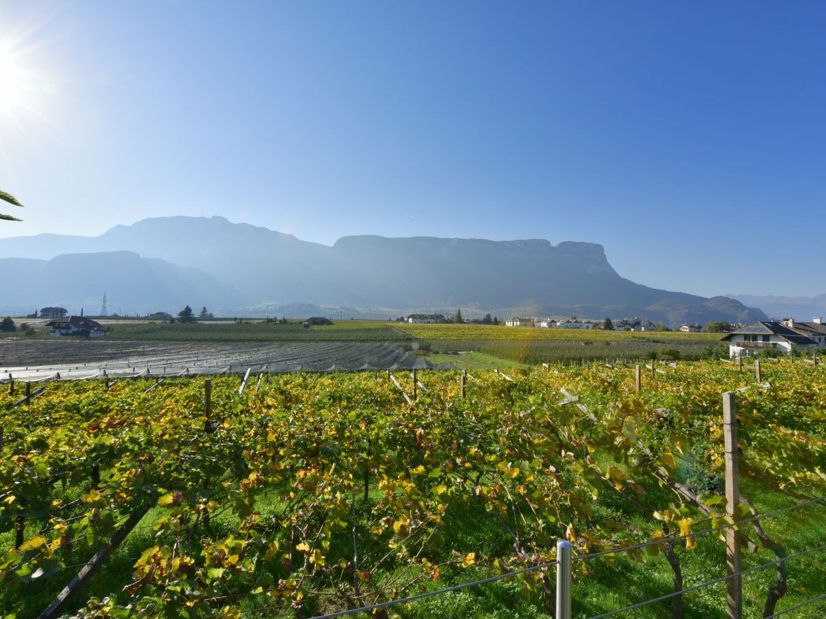Holiday apartment I West - Ground floor - Outdoor photo 2