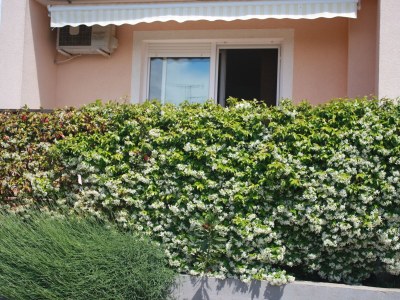 Holiday apartment Idylle Oase - Outdoor photo 7