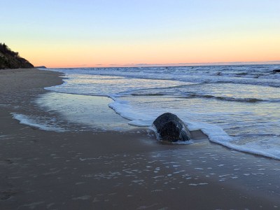 Apartment Residenz am Balmer See - Apartment Nr. 21 "Kleine Auszeit" - Outdoor photo 7