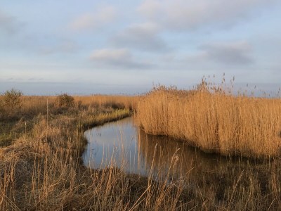 Apartment Residenz am Balmer See - Apartment Nr. 21 "Kleine Auszeit" - Environment photo 27