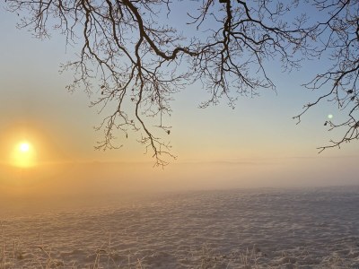 Apartment Residenz am Balmer See - Apartment Nr. 21 "Kleine Auszeit" - Environment photo 39