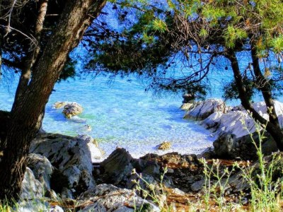 Apartment Studio in Tribunj near Bristak Beach - Environment photo 24