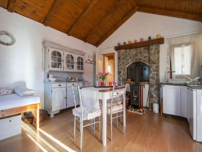 Apartment Beautiful apartment near Beach Zvizda - Features photo 13