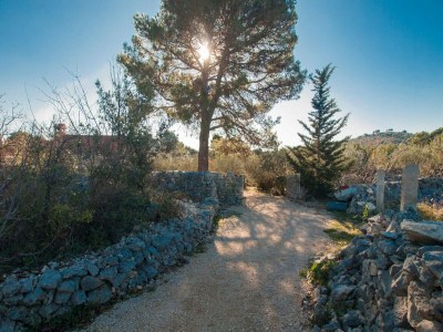 Apartment Beautiful apartment near Beach Zvizda - Environment photo 17