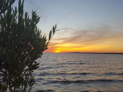 Apartment Studio in Raslina nahe Krka und Strand - Environment photo 14