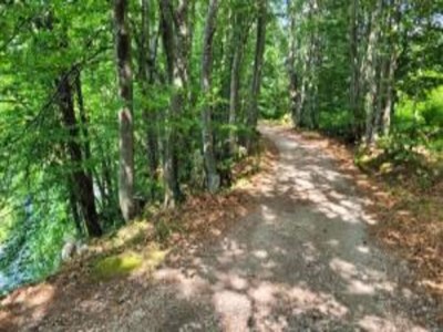 Apartment Zwei-Zimmer-Wohnung in Jezera - Environment photo 39