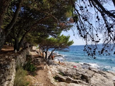 Apartment Three-bedroom apartment in Murter - Environment photo 34