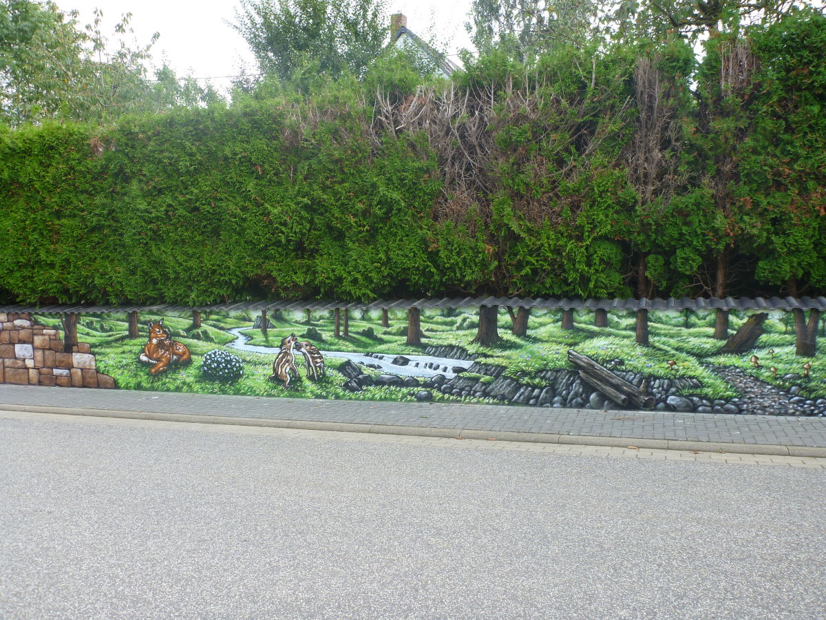 Holiday apartment Jonas close to Nürburgring - Outdoor photo 4