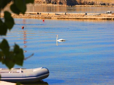 Apartment Apartment in Dinjiška by the Beach - Environment photo 18