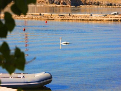 Apartment Apartment in Dinjiška by the Beach - Environment photo 56