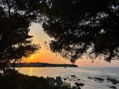 Apartment Charming one-bedroom apartment in Ugljan - Environment photo 34