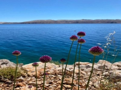 Apartment Üppiges Studio-Apartment am Strand - Environment photo 35