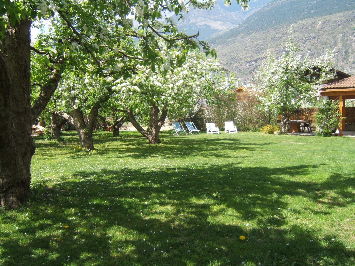 Holiday apartment Trafoier-Wielander - Outdoor photo 3