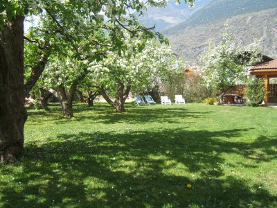 Holiday apartment Trafoier-Wielander - Outdoor photo 3