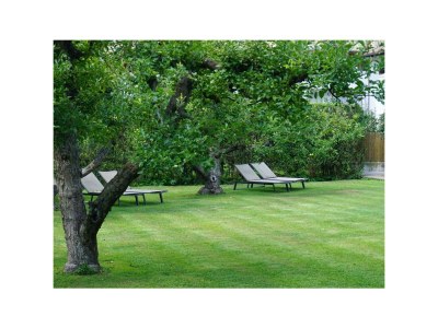 Holiday apartment Trafoier-Wielander - Environment photo 18