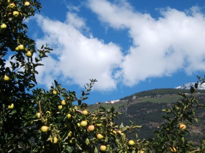 Holiday apartment Trafoier-Wielander - Environment photo 19