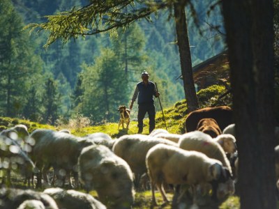 Holiday apartment Trafoier-Wielander - Environment photo 24