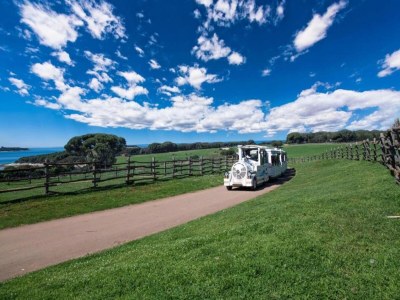 Apartment Relaxing Studio with Lovely Terrace - Kajfes A2 - Environment photo 15