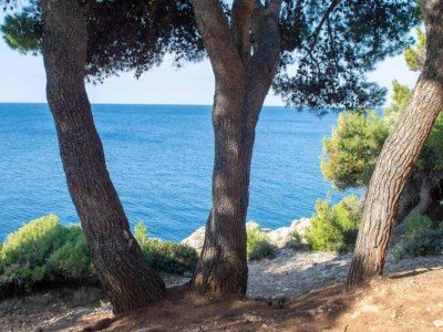 Apartment Relaxing Studio with Lovely Terrace - Kajfes A2 - Environment photo 32