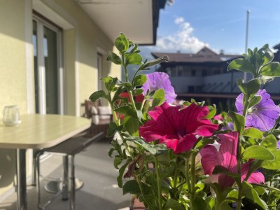 Holiday apartment Gala - Bauernhof Stadlgut - Outdoor photo 7