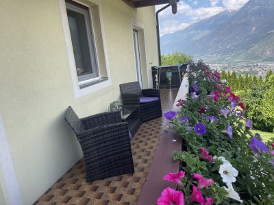 Holiday apartment Gala - Bauernhof Stadlgut - Outdoor photo 8