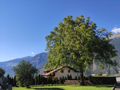 Holiday apartment Gala - Bauernhof Stadlgut - Outdoor photo 10