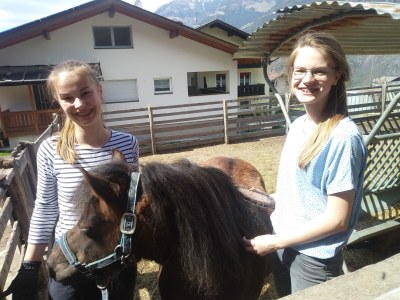 Holiday apartment Gala - Bauernhof Stadlgut - Outdoor photo 12