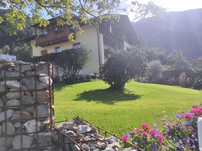 Holiday apartment Gala - Bauernhof Stadlgut - Outdoor photo 15