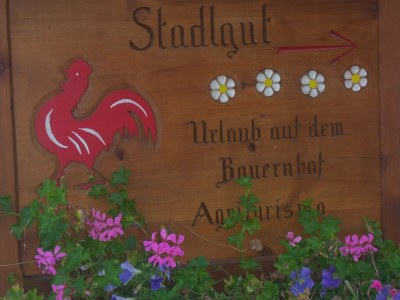 Holiday apartment Gala - Bauernhof Stadlgut - Outdoor photo 18