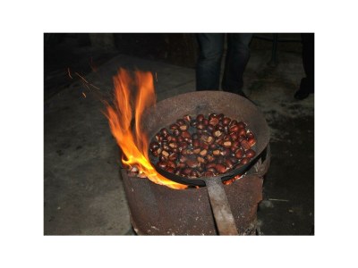 Holiday apartment Gala - Bauernhof Stadlgut - Outdoor photo 21