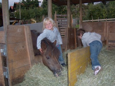 Holiday apartment Gala - Bauernhof Stadlgut - Environment photo 28