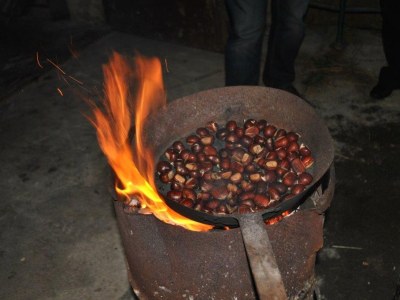 Holiday apartment Gala - Bauernhof Stadlgut - Environment photo 35
