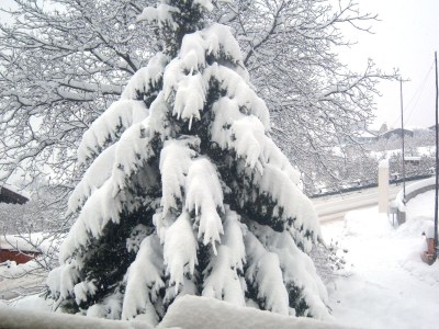 Holiday apartment Gala - Bauernhof Stadlgut - Environment photo 36