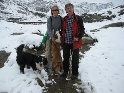 Holiday apartment Gala - Bauernhof Stadlgut - Environment photo 37