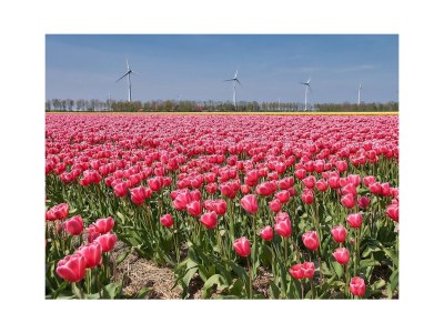 Bungalow Eb en Vloed 63 - Environment photo 18