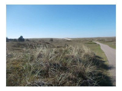 Bungalow Eb en Vloed 63 - Environment photo 20