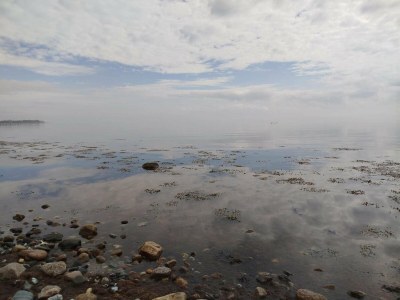 Holiday house 5 person holiday home in Løkken - Outdoor photo 40