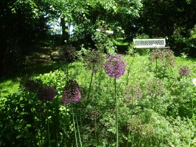 Holiday house Holiday Home in Pionsat in Le Quartier - Holiday house