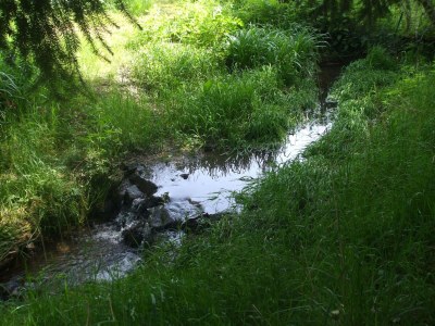 Holiday house Holiday Home in Pionsat - Outdoor photo 5