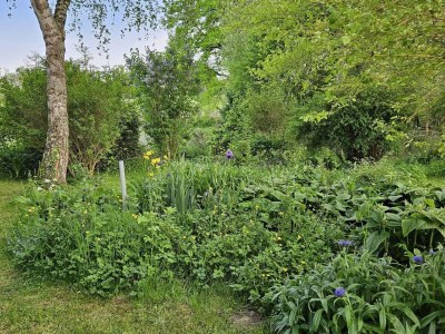 Holiday house Holiday Home in Pionsat - Outdoor photo 8