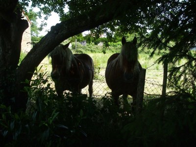 Holiday house Holiday Home in Pionsat - Outdoor photo 13