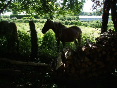 Holiday house Holiday Home in Pionsat - Environment photo 28