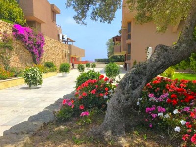 Apartment Apartment in Olbia near sea - Outdoor photo 8