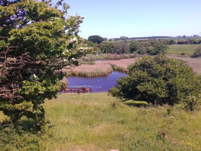 Holiday house 4 Sterne Ferienhaus in Bagenkop - Outdoor photo 11