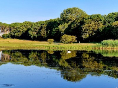 Holiday house 4 Sterne Ferienhaus in Bagenkop - Outdoor photo 12