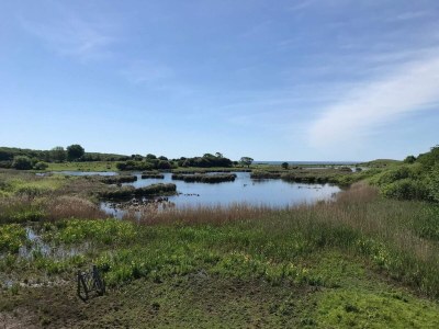 Holiday house 4 Sterne Ferienhaus in Bagenkop - Outdoor photo 32